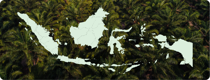 Indonesia Map
